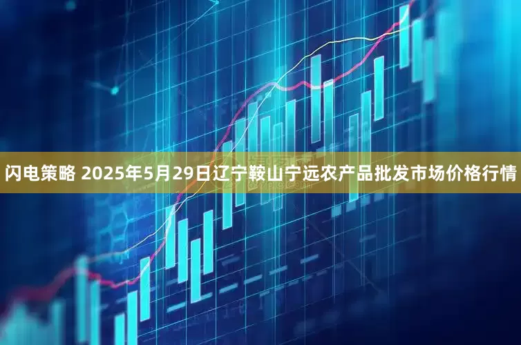 闪电策略 2025年5月29日辽宁鞍山宁远农产品批发市场价格行情