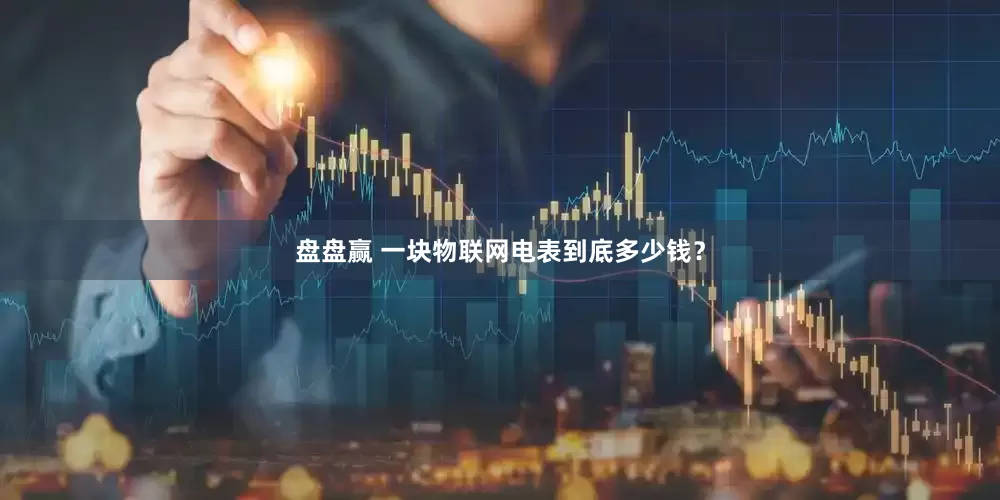 盘盘赢 一块物联网电表到底多少钱？